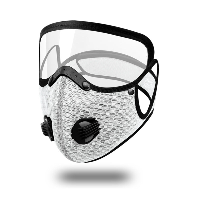 Cleaning the Dust Mask with Removable Protective Lens