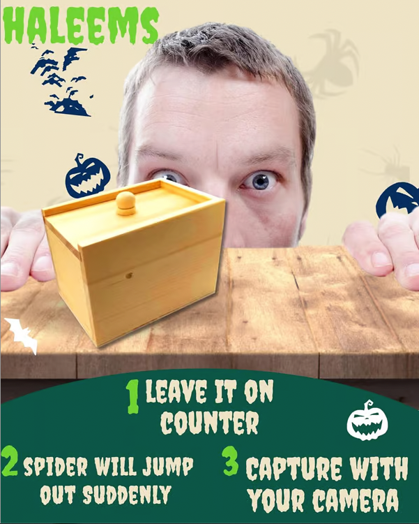 👻Halloween Special Gifts🎁Spider Scare Prank Box🔥