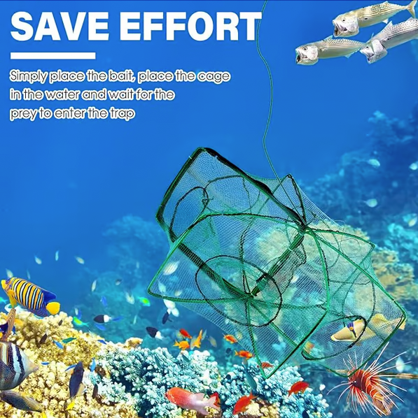 š„The Magic Foldable Fishing Trap