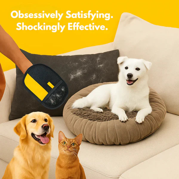 🎁 Best-Selling Pet Cleaning Glove 🐈⬛