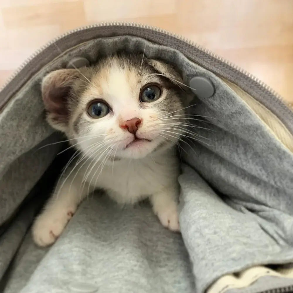 Winter Warm Pet Pouch Hoodie