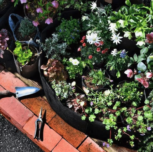 🎉Breathable Large Garden Planting Bed